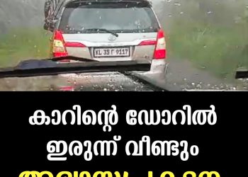 ട്രിപ്പിനിടയിലെ അതിരു വിടുന്ന അഭ്യാസപ്രകടനം