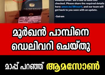 ദമ്പതികൾ ആമസോണിൽ എക്സ് ബോക്സ് കൺട്രോളർ ഓർഡർ ചെയ്തു, ബോക്സ് തുറന്നപ്പോൾ മൂർഖൻ പാമ്പ്