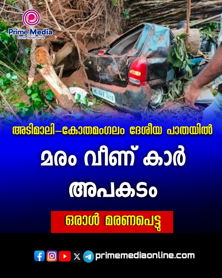 കോതമംഗലം – അടിമാലി ദേശീയപാതയിൽ ഗർഭിണി അടക്കം നാലുപേർ സഞ്ചരിച്ച കാറിന് മുകളിലേക്ക് മരം വീണു;