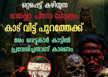 മരം വെട്ടുന്നവരുടെ കയ്യേറ്റഭീഷണിയെ തുടർന്ന് മാഷ്കോ പിറോ ഗോത്രക്കാർ അവർ കഴിഞ്ഞിരുന്ന മഴക്കാടുകൾ ഉപേക്ഷിച്ച് പുറത്തേക്ക്