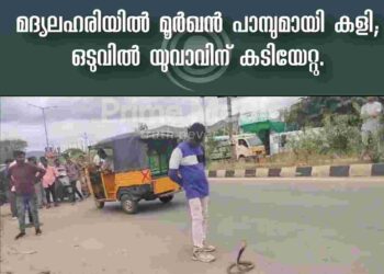 മദ്യലഹരിയിൽ മൂർഖൻ പാമ്പുമായി കളി;  യുവാവിന് കടിയേറ്റു: