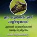 ഈ കുഞ്ഞൻ വണ്ട് കയ്യിലുണ്ടോ? എന്നാൽ ഒറ്റരാത്രികൊണ്ട് ലക്ഷപ്രഭു ആവാം. കക്ഷി നിസ്സാരക്കാരനല്ല!