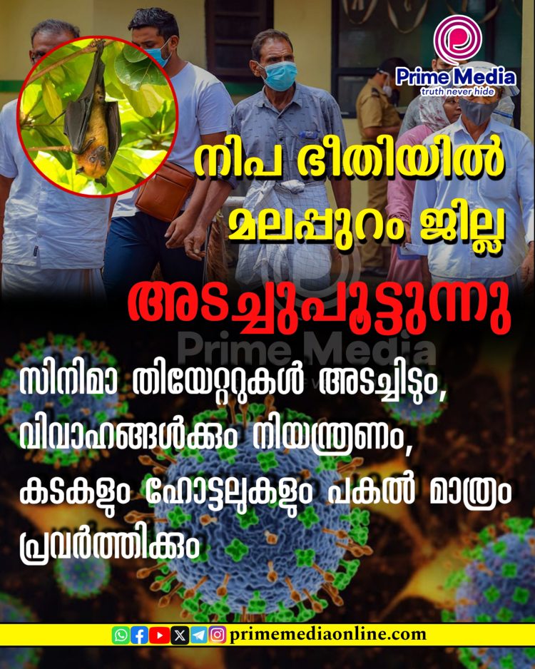നിപ ഭീതിയില് മലപ്പുറം ജില്ല അടച്ചുപൂട്ടുന്നു ; കടകളും ഹോട്ടലുകളും പകല് മാത്രം പ്രവര്ത്തിക്കും, സിനിമാ തിയേറ്ററുകള് അടച്ചിടും, വിവാഹങ്ങള്ക്കും നിയന്ത്രണം.