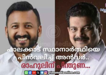 പാലക്കാട് സ്ഥാനാര്‍ത്ഥിയെ പിന്‍വലിച്ച് പി.വി. അന്‍വര് രാഹുലിന് പൂർണ പിന്തുണ.