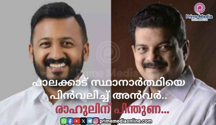 പാലക്കാട് സ്ഥാനാര്ത്ഥിയെ പിന്വലിച്ച് പി.വി. അന്വര് രാഹുലിന് പൂർണ പിന്തുണ.