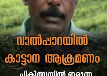 വാൽപ്പാറ ഗജമുടി എസ്റ്റേറ്റിൽ കാട്ടാനയുടെ ആക്രമണത്തിൽ പരിക്കേറ്റ് ചികിത്സയിലിരുന്ന തൊഴിലാളി മരിച്ചു.