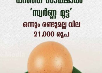 എട്ടും പത്തുമല്ല   21 ,000 രൂപ വിലയുള്ള മുട്ട; സ്വർണ മുട്ട
