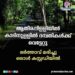 ദമ്പതിമാര്‍ക്ക് വെട്ടേറ്റു ; ഭർത്താവ് മരിച്ചു, ഒരാൾ അറസ്റ്റിൽ…