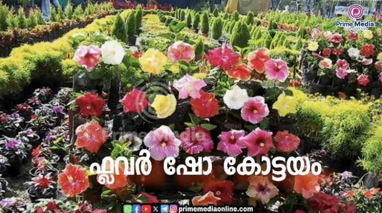 ഇന്ന് മുതൽ കോട്ടയത്ത് വിദേശയിനം പൂക്കളുടെ വർണ്ണ വിസ്മയം ഒരുക്കികൊണ്ട് കേരളത്തിൽ ആദ്യമായി യൂറോപ്യൻ മോഡൽ ഫ്ളവർ ഷോ