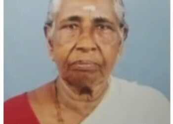 ആലപ്പുഴയിൽ തെരുവുനായ വയോധികയെ കടിച്ചുകൊന്നു, മുഖമാകെ കടിയേറ്റ നിലയിൽ