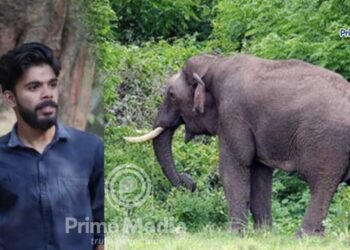 കൂപ്പിൽ കെട്ടിയിരുന്ന പശുവിനെ അഴിക്കാൻ പോയ യുവാവിനെ കാട്ടാന ആക്രമിച്ച് കൊലപ്പെടുത്തി.