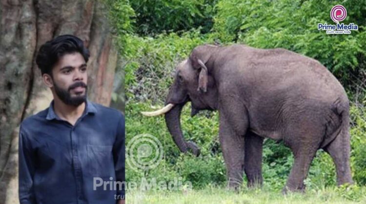 കൂപ്പിൽ കെട്ടിയിരുന്ന പശുവിനെ അഴിക്കാൻ പോയ യുവാവിനെ കാട്ടാന ആക്രമിച്ച് കൊലപ്പെടുത്തി.