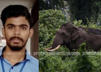 ഇടുക്കിയിൽ കാട്ടാന ആക്രമണത്തിൽ യുവാവ് മരിച്ച സംഭവം; കുടുംബത്തിന് പത്ത് ലക്ഷം രൂപ ധനസഹായം പ്രഖ്യാപിച്ചു