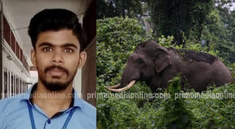 ഇടുക്കിയിൽ കാട്ടാന ആക്രമണത്തിൽ യുവാവ് മരിച്ച സംഭവം; കുടുംബത്തിന് പത്ത് ലക്ഷം രൂപ ധനസഹായം പ്രഖ്യാപിച്ചു