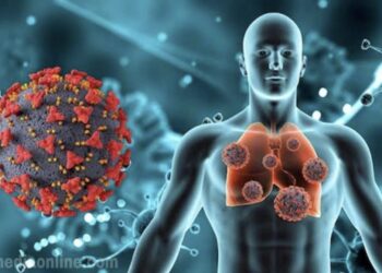 ചെെനയിൽ കണ്ടെത്തിയ പുതിയ വെെറസ് ; എന്താണ് ഹ്യൂമന്‍ മെറ്റാപ് ന്യൂമോവൈറസ്?