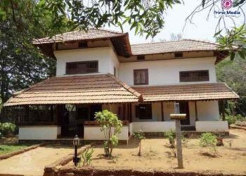 പണം കായ്‌ക്കുന്ന മരം; വീടിന് പുറകില്‍ ഇവ നട്ടാല്‍ സാമ്പത്തിക പുരോഗതി ഉടൻ.