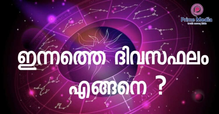 കുട്ടിയാനകളെ പ്രകോപിപ്പിച്ച് യുവാവ്; താക്കീതുമായി ഐ.എഫ്.എസ് ഉദ്യോഗസ്ഥൻ.