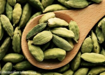 ഇടുക്കിയിൽ ചെക്ക്പോസ്റ്റിലൂടെ നികുതി വെട്ടിച്ചു കടത്താൻ ശ്രമിച്ച 2000 കിലോഗ്രാം ഏലക്ക പിടികൂടി