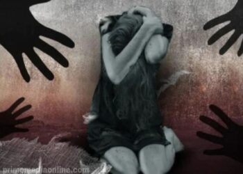 പത്തനംതിട്ട പീഡന കേസ്; മൂന്ന് പേര്‍ കൂടി   പോലീസ് കസ്റ്റഡിയില്‍