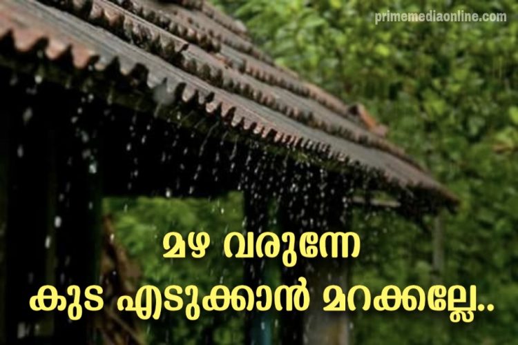 മഴ വരുന്നേ..കുട എടുക്കാൻ മറക്കല്ലേ..ഏതൊക്കെ ജില്ലകളിൽ എന്നറിയാം