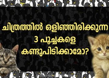 500 പേരിൽ ഒരാൾക്ക് മാത്രമേ 21 സെക്കൻഡിനുള്ളിൽ പെൻഗ്വിനുകൾക്കിടയിൽ ഒളിച്ചിരിക്കുന്ന മൂന്ന് പൂച്ചകളെ കണ്ടെത്താൻ കഴിയൂ! നിങ്ങൾക്ക് കഴിയുമോ?