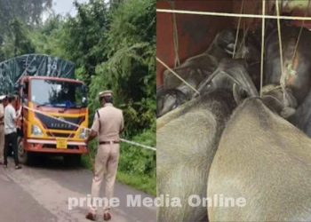 കന്നുകാലികളെ കയറ്റിയ ലോറി നിർത്താതെ പോയി’; മലയാളിയെ വെടിവച്ചു വീഴ്ത്തി കർണാടക പൊലീസ്.