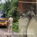 കന്നുകാലികളെ കയറ്റിയ ലോറി നിർത്താതെ പോയി’; മലയാളിയെ വെടിവച്ചു വീഴ്ത്തി കർണാടക പൊലീസ്.