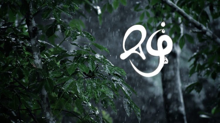 സംസ്ഥാനത്ത് ശക്തമായ മഴ തുടരും: 11 ജില്ലകളില്‍ മ‍ഴ മുന്നറിയിപ്പ് ; 4 ജില്ലകളിൽ ഓറഞ്ച് അലർട്ട്