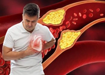 ചീത്ത കൊളെസ്റ്ററോൾ കുറയ്ക്കാൻ നിർബന്ധമായും കഴിക്കേണ്ട വിത്തുകൾ (seeds) ഇതാണ്..