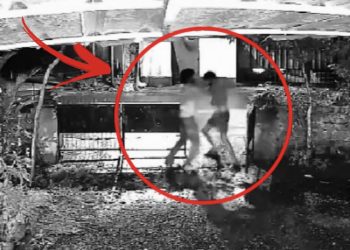 കോട്ടയം പുതുപ്പള്ളി മാങ്ങാനം സ്വദേശി ആദർശിൻ്റെ കൊലപാതകം : സിസിടിവി ദൃശ്യങ്ങൾ പുറത്ത്