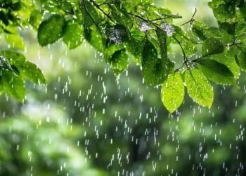 സംസ്ഥാനത്ത് ഇന്ന് അതിശക്തമായ മഴയ്ക്ക് സാധ്യത ; ഓറഞ്ച്, യെല്ലോ അലർട്ടുകൾ പ്രഖ്യാപിച്ചു