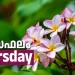 ഇന്നത്തെ നക്ഷത്രഫലം : Horoscope Today ; December 25, 2025